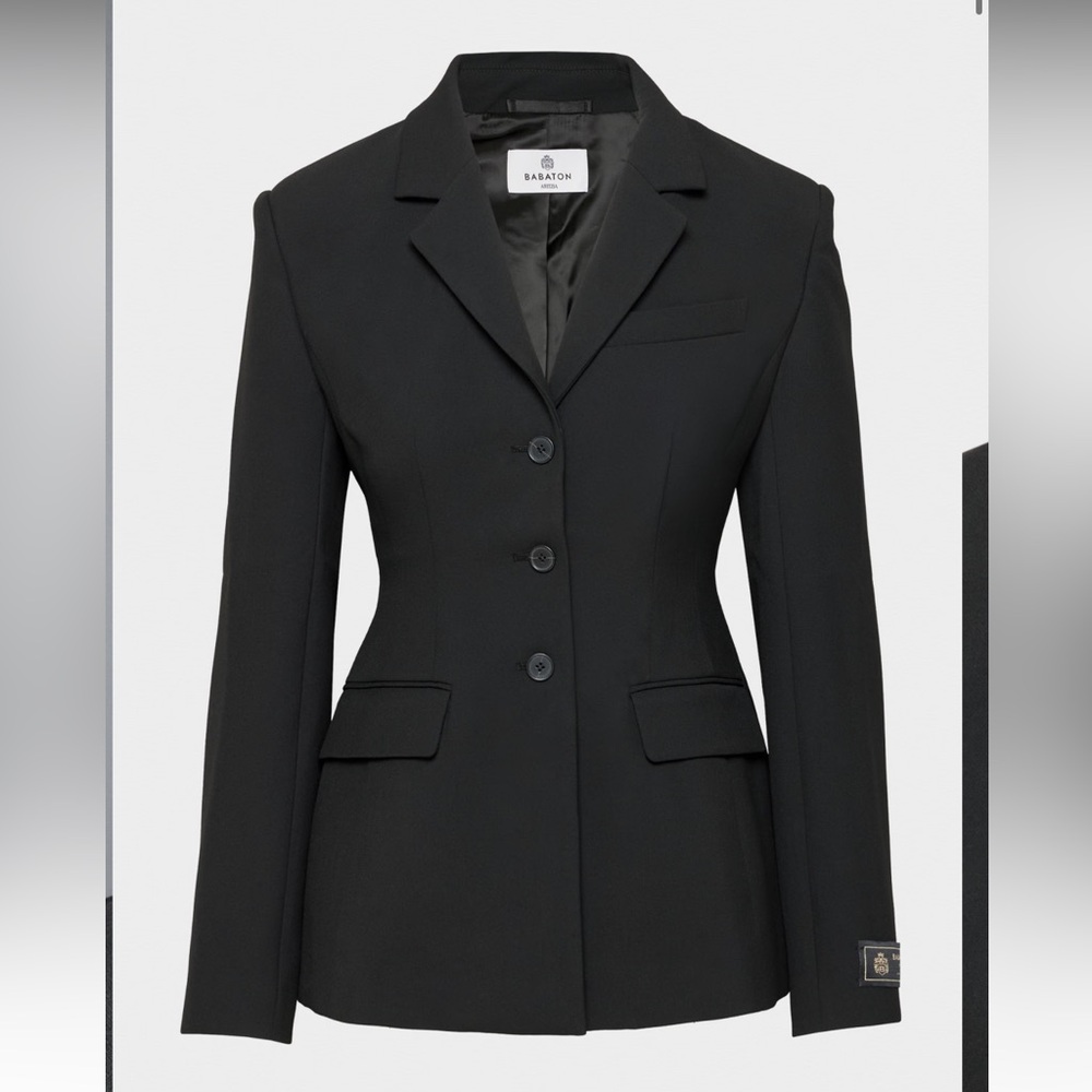 Babaton Aritzia Standout Blazer NWOT (Size 6)